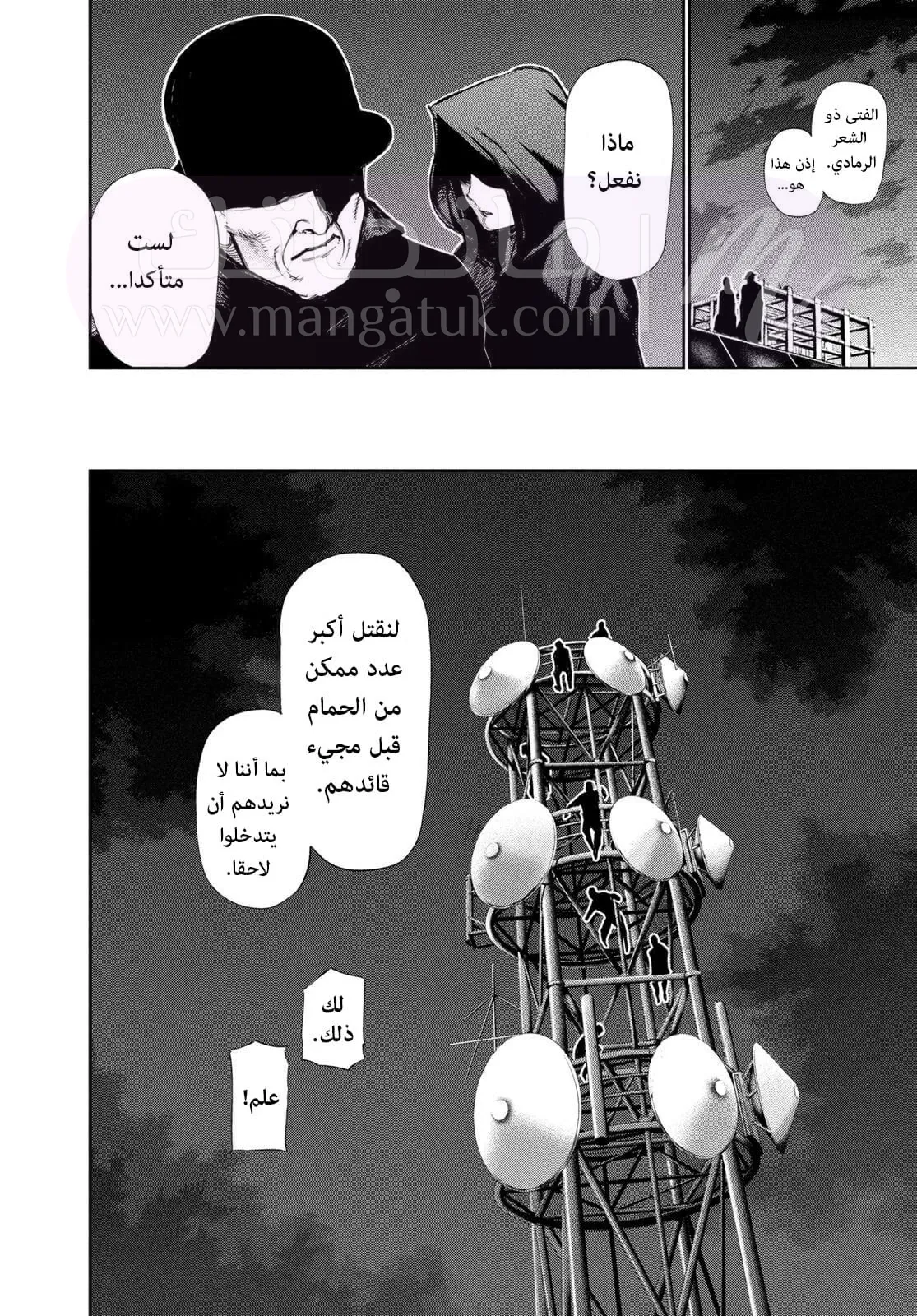 الصفحة 13