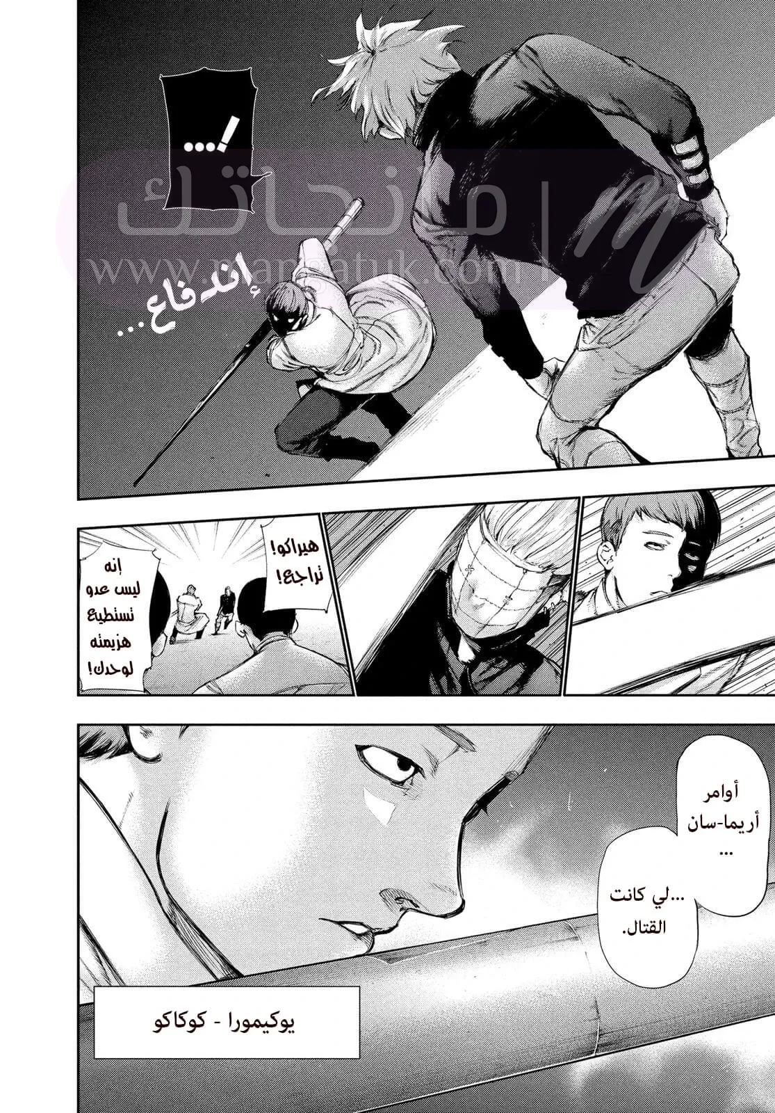الصفحة 17