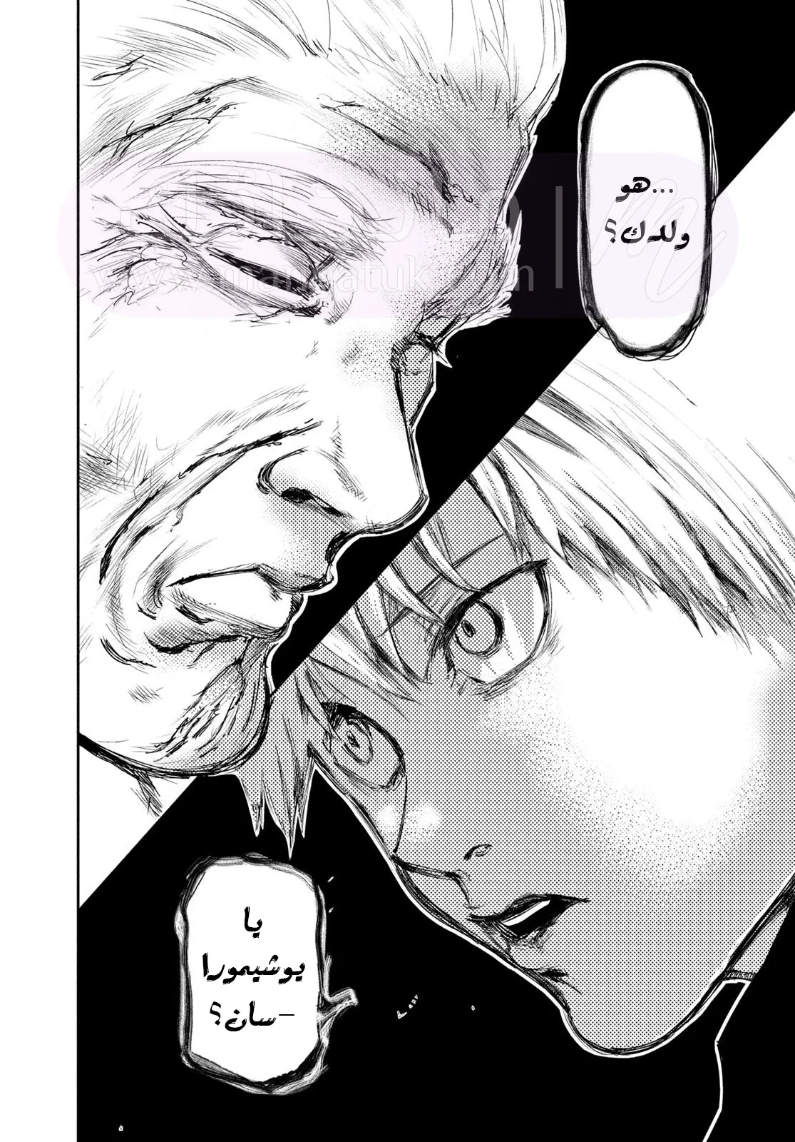 الصفحة 17