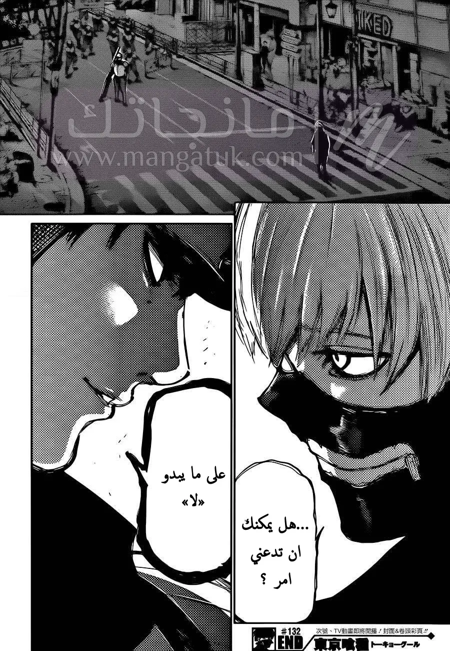 الصفحة 17