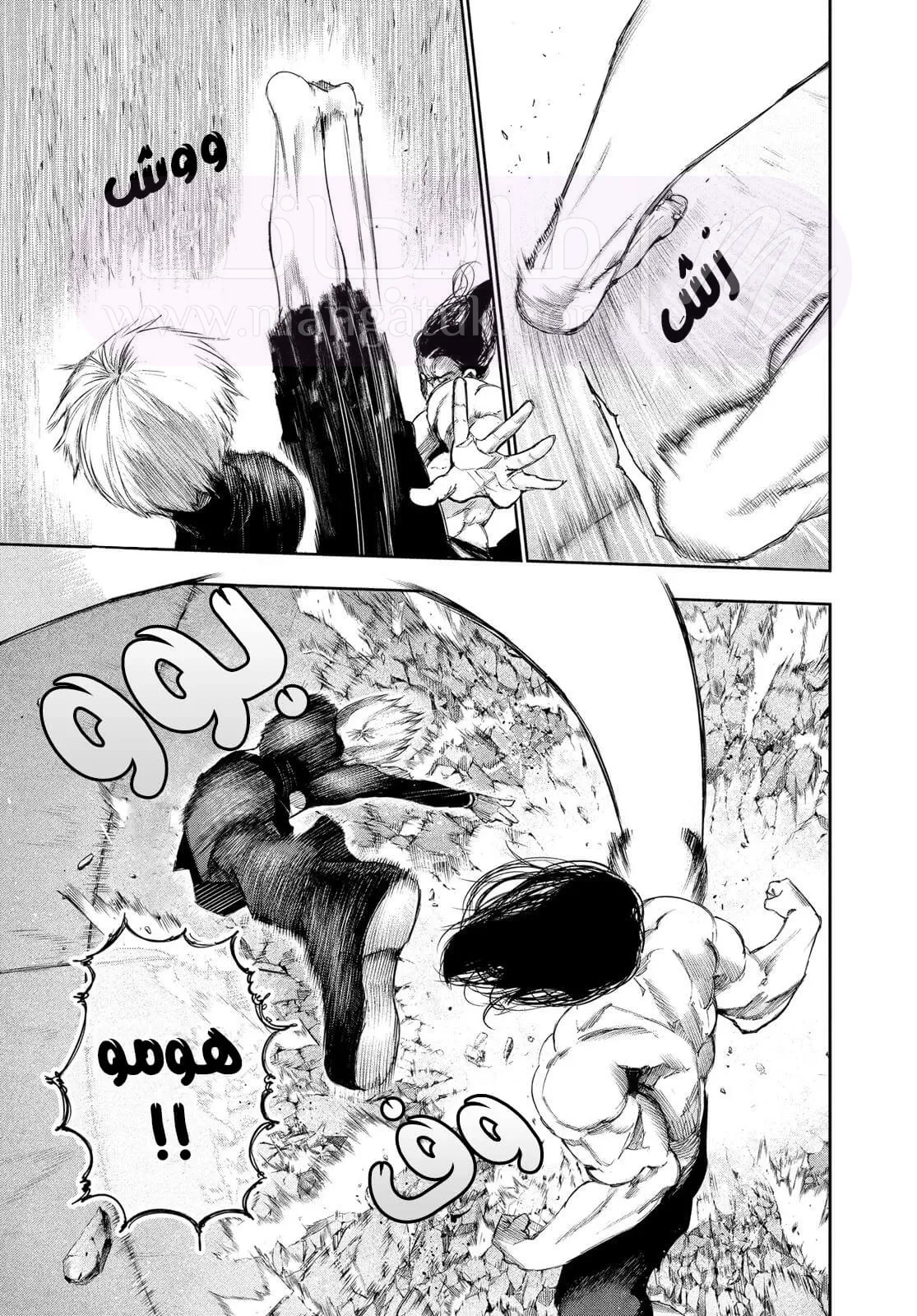 الصفحة 3