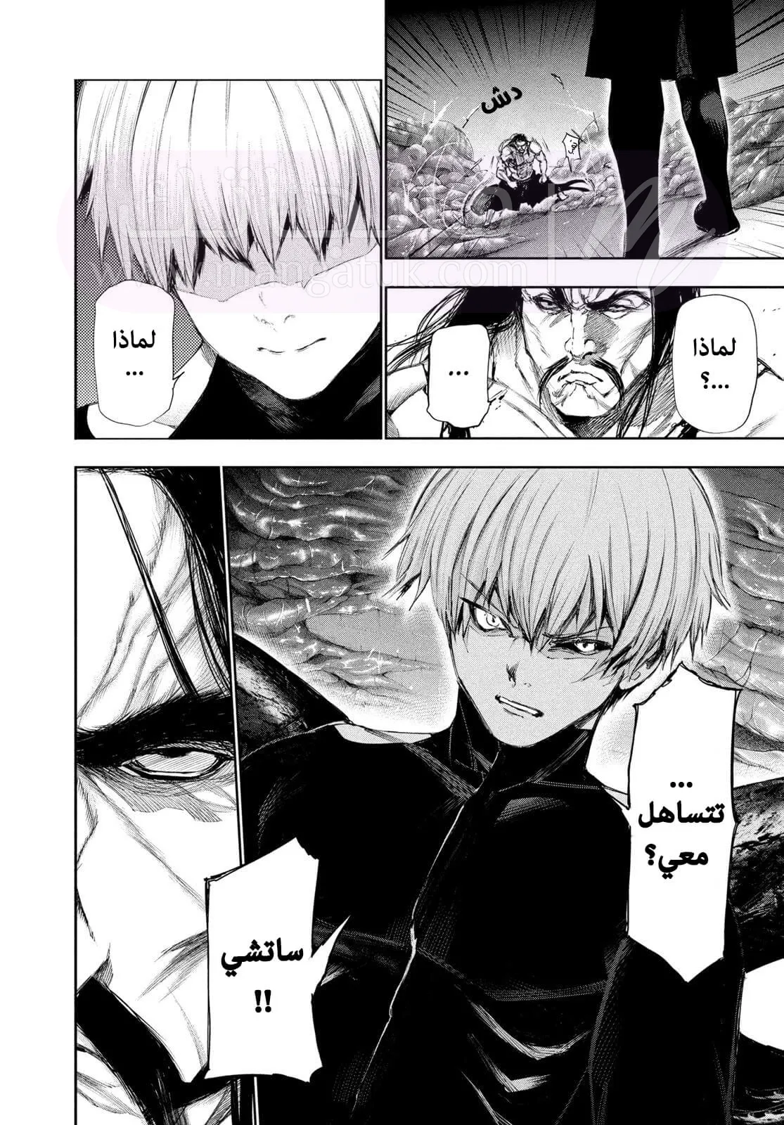 الصفحة 17