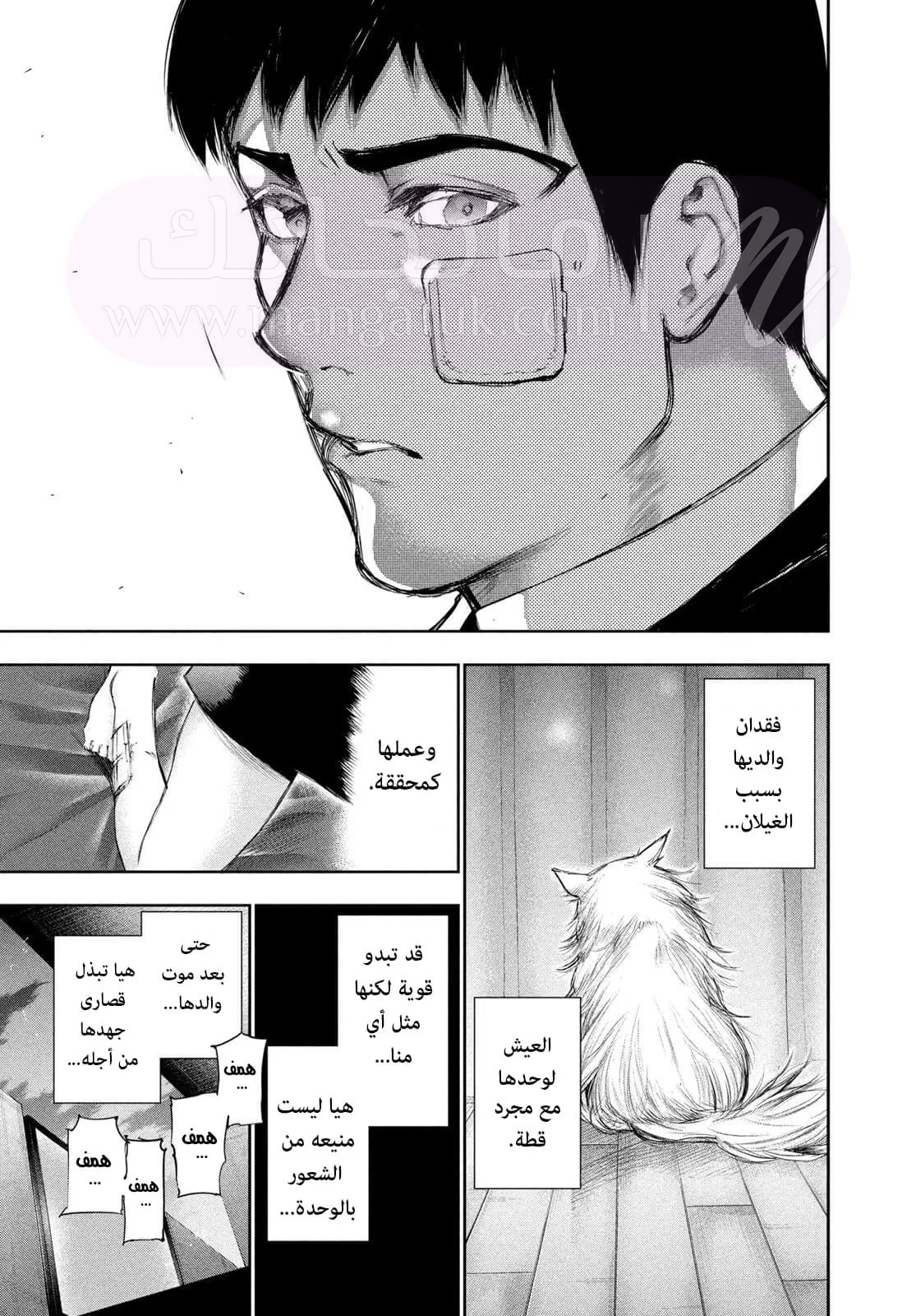 الصفحة 7