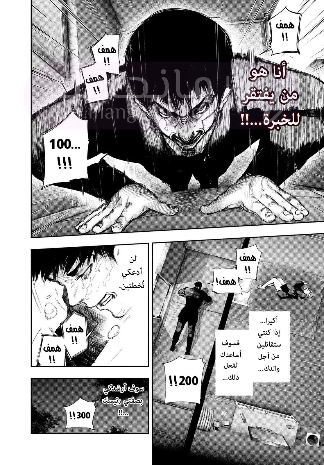 الصفحة 8