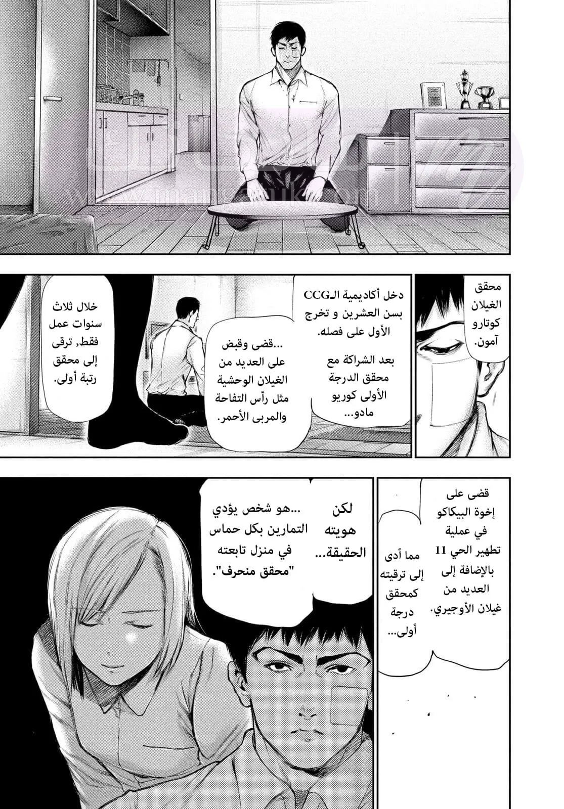 الصفحة 11
