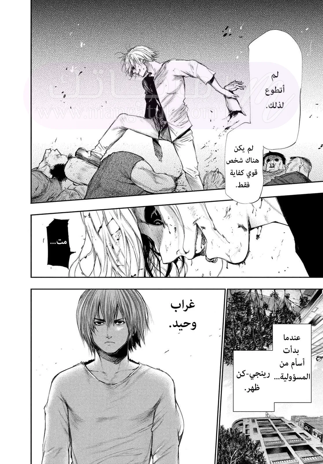 الصفحة 14