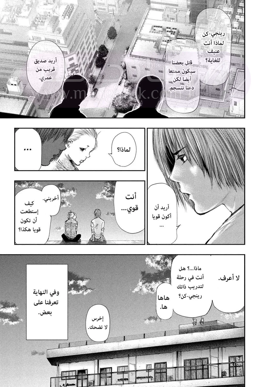 الصفحة 17