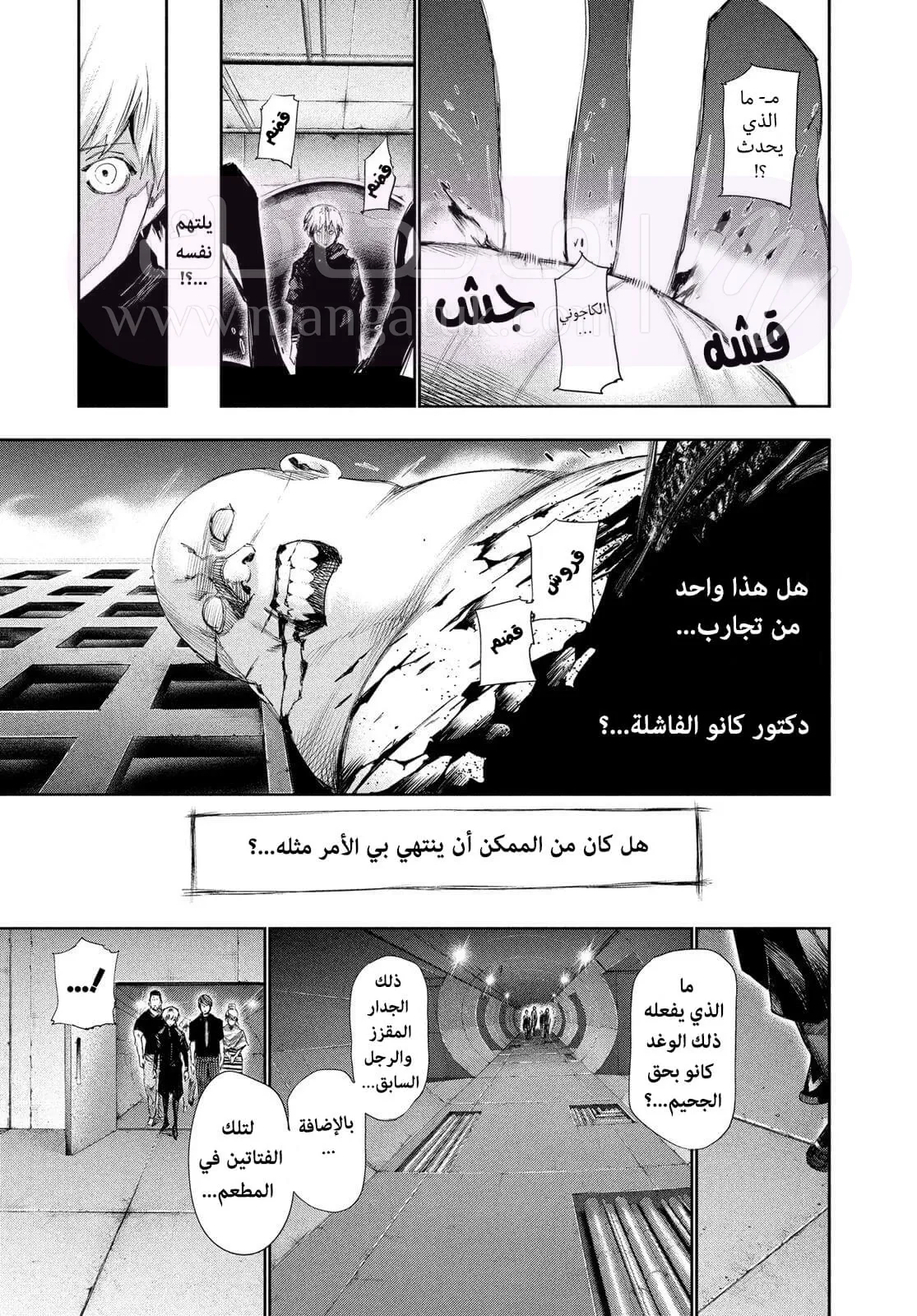 الصفحة 5