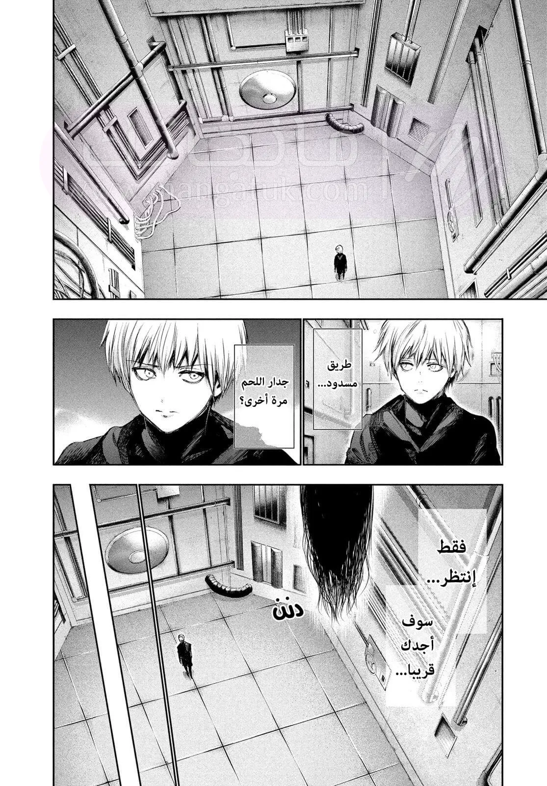 الصفحة 11