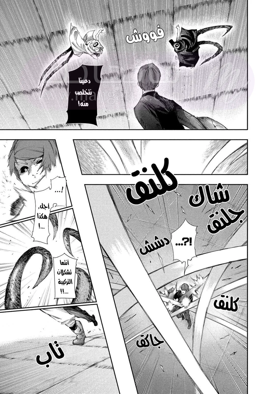 الصفحة 14