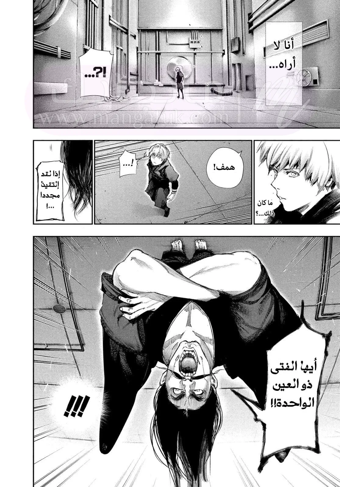 الصفحة 17