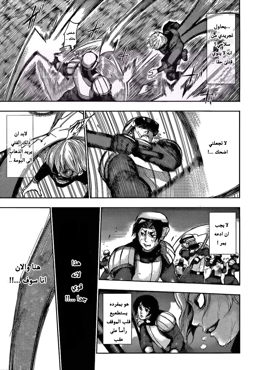 الصفحة 13