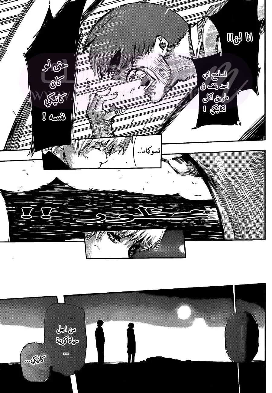 الصفحة 16