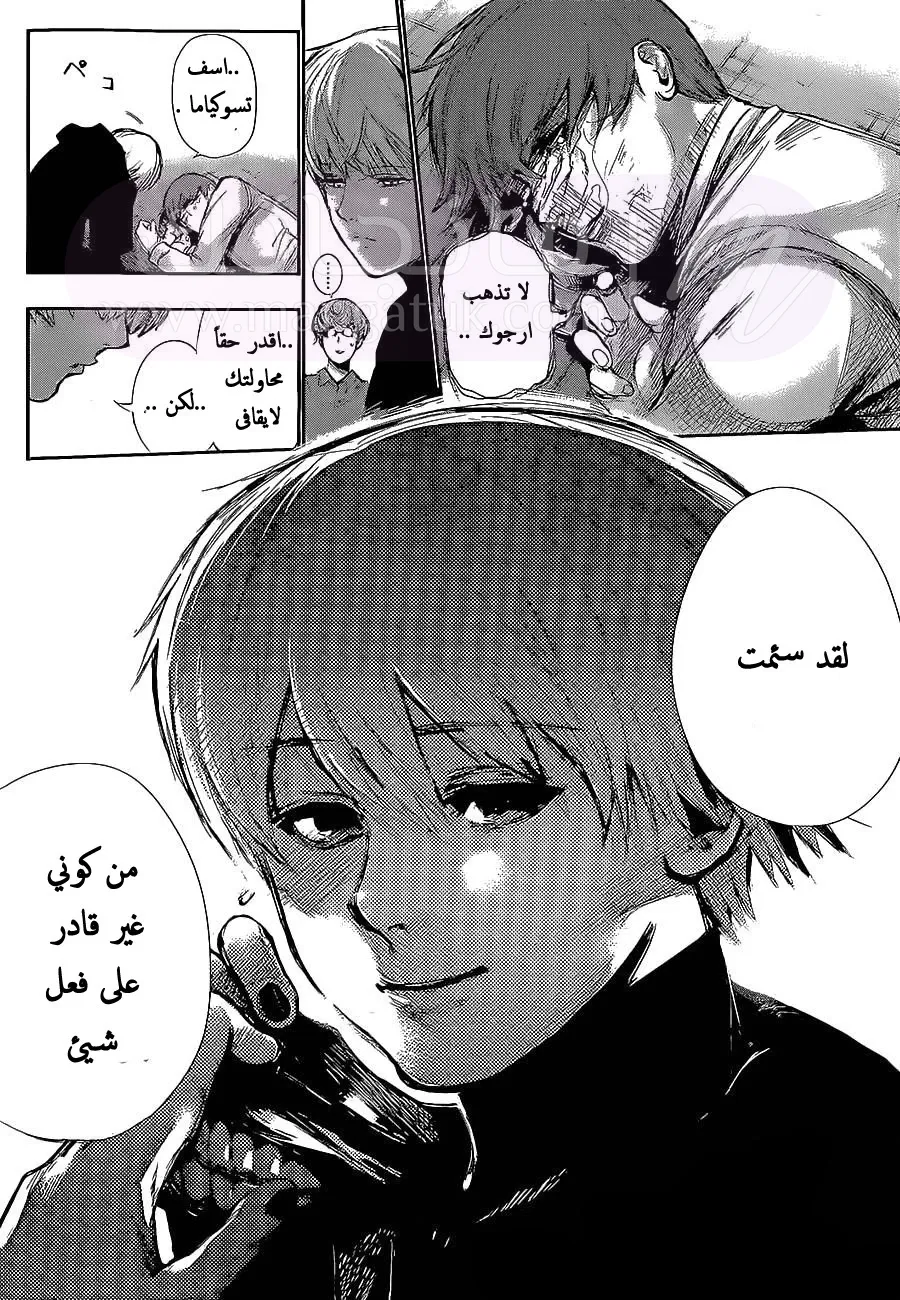 الصفحة 17