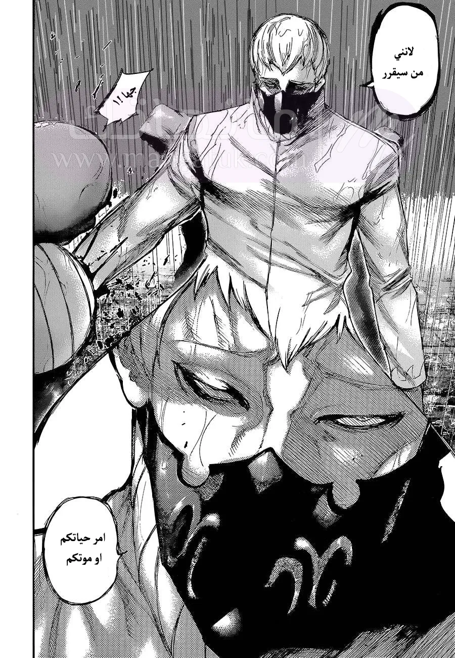 الصفحة 5
