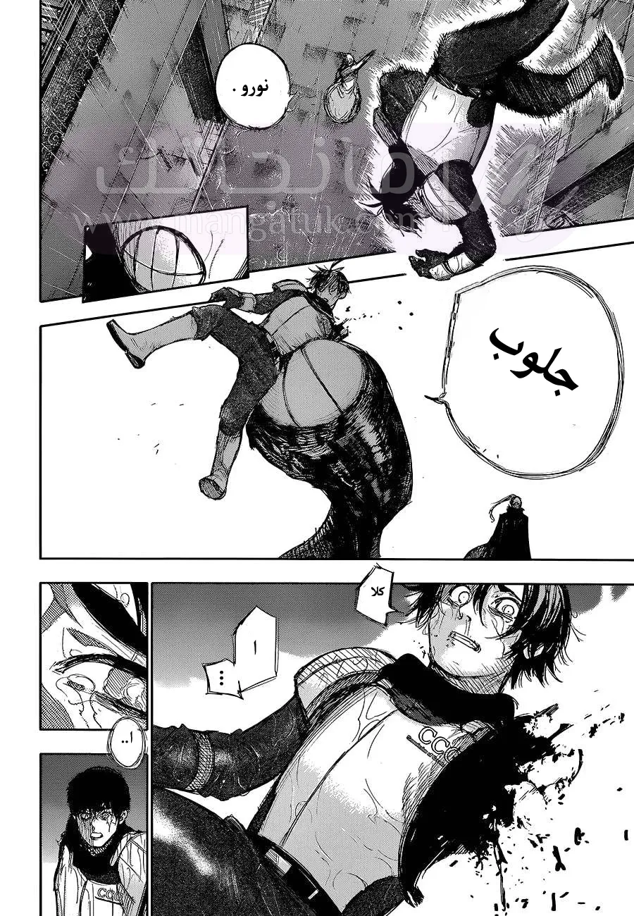 الصفحة 11