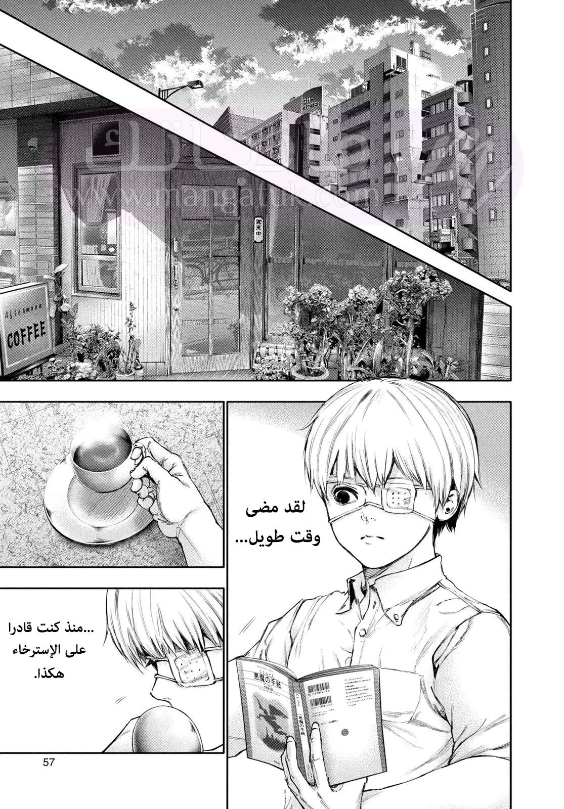 الصفحة 14