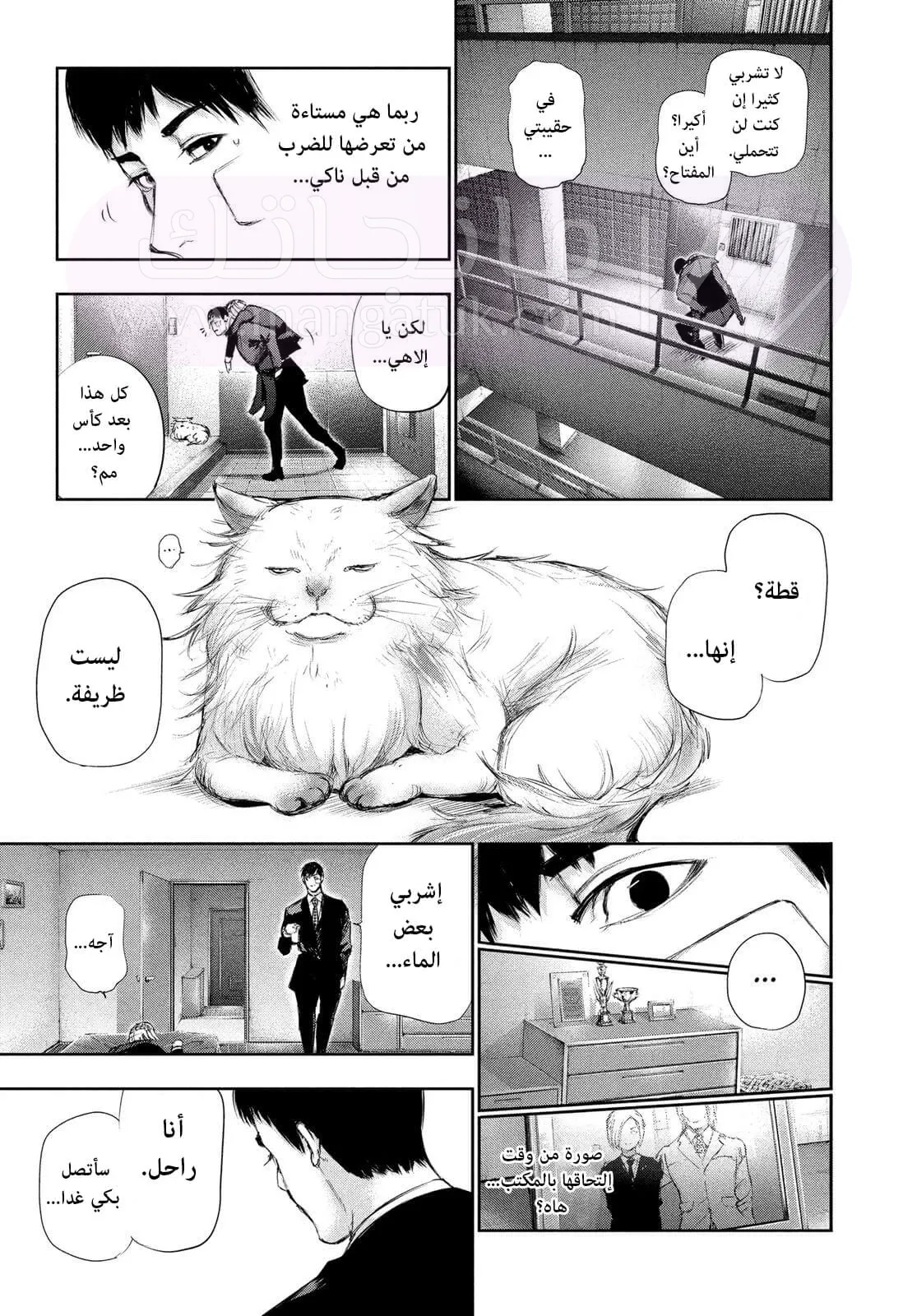 الصفحة 17