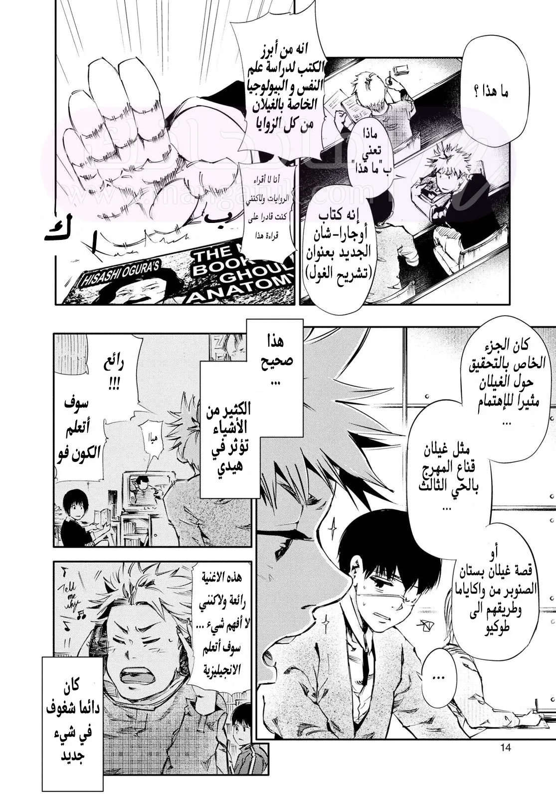 الصفحة 13