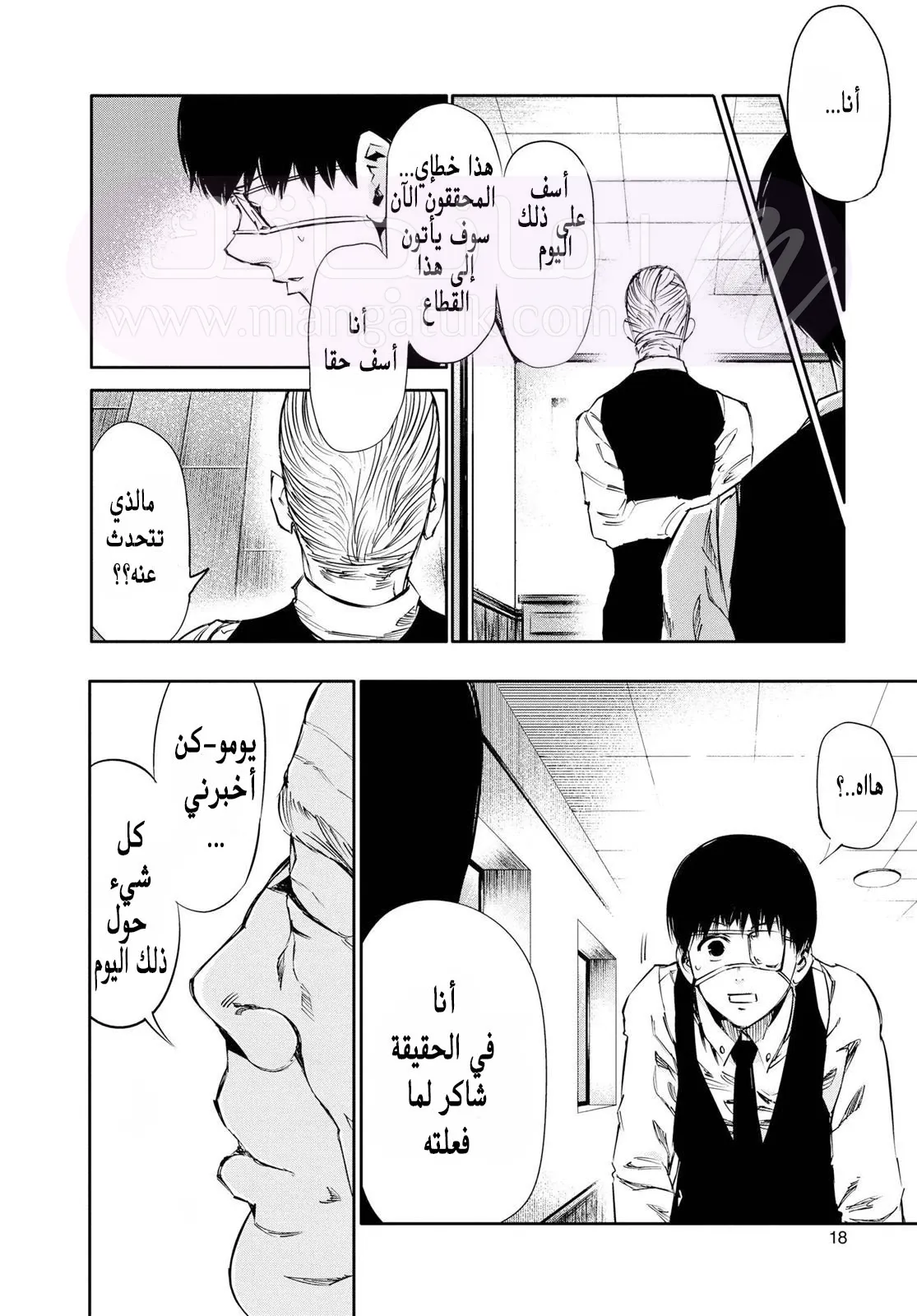الصفحة 17