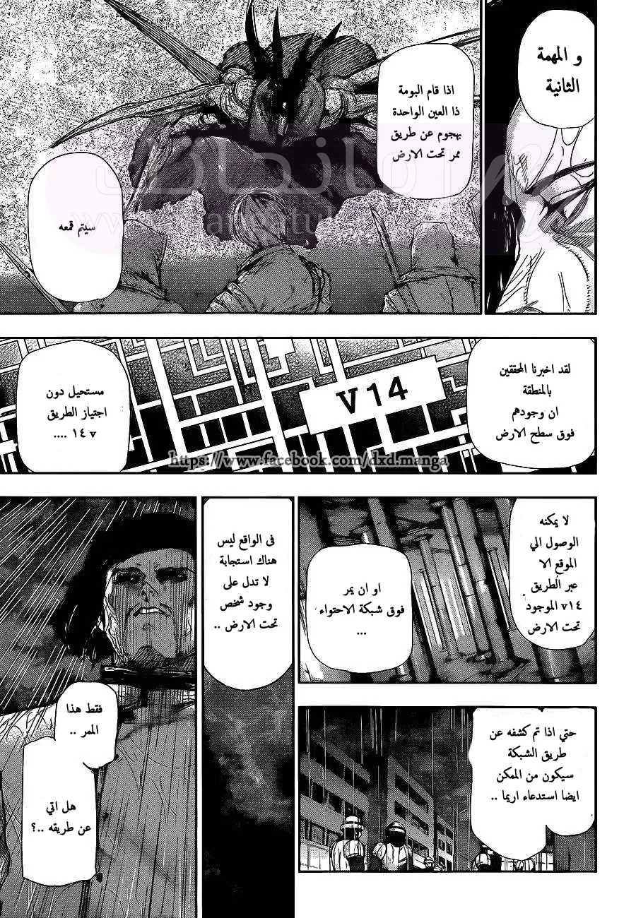 الصفحة 8