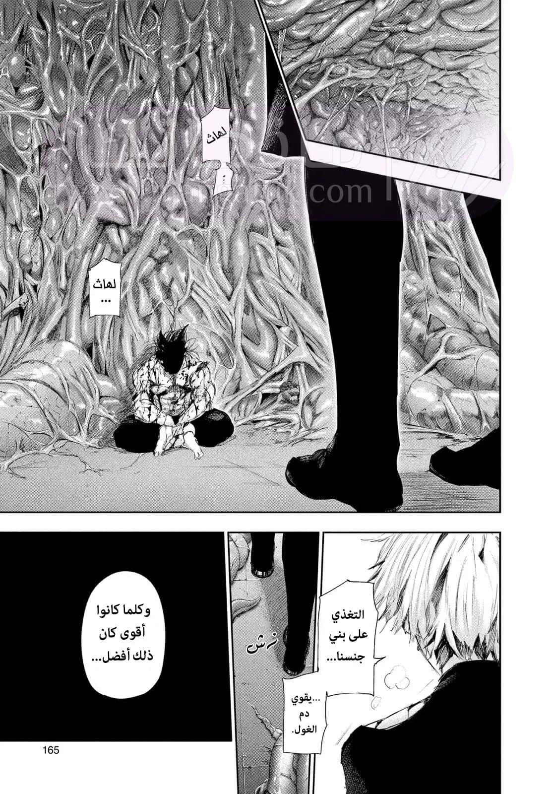 الصفحة 11