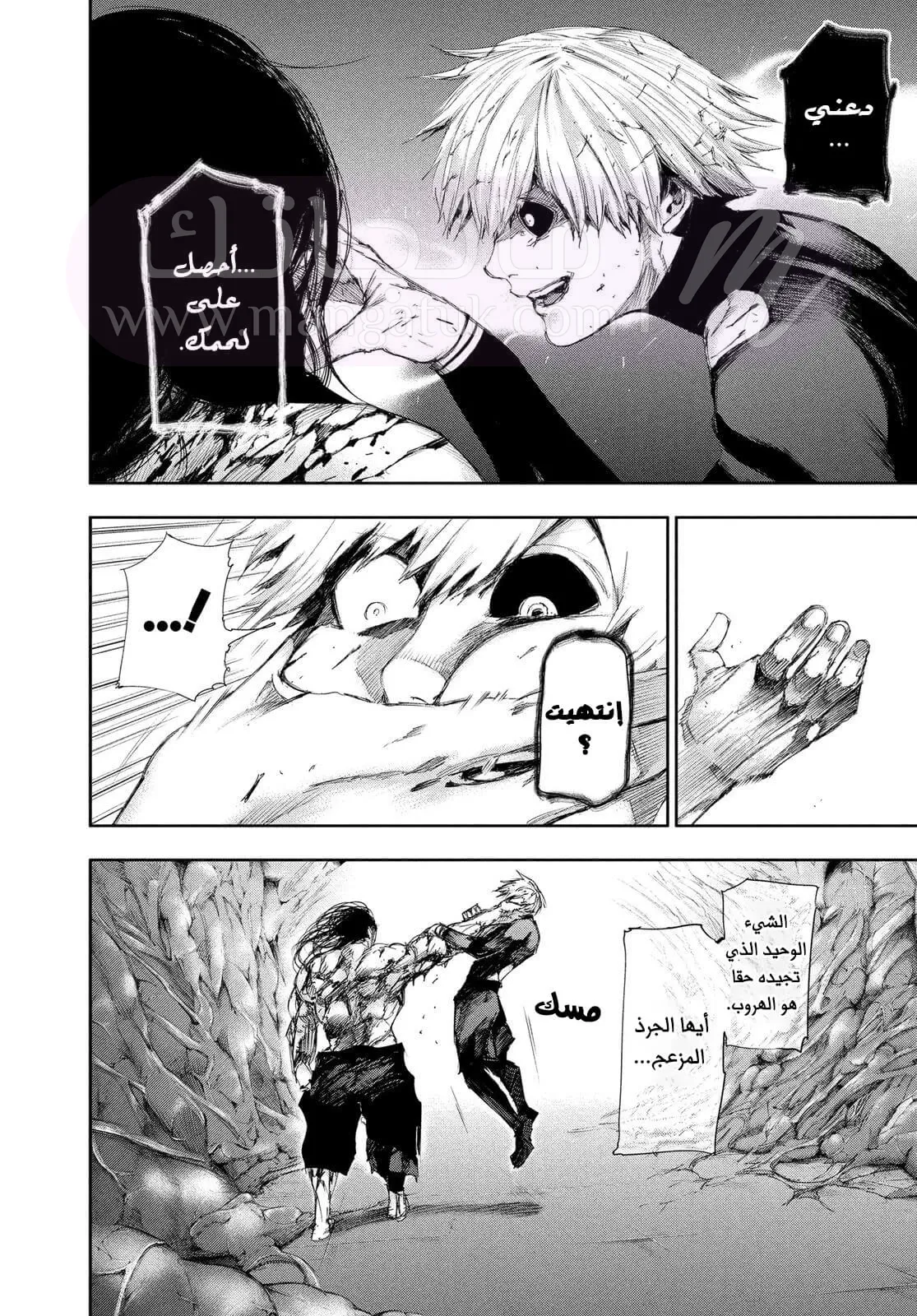 الصفحة 12