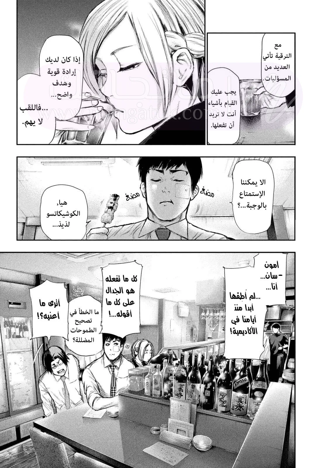الصفحة 17