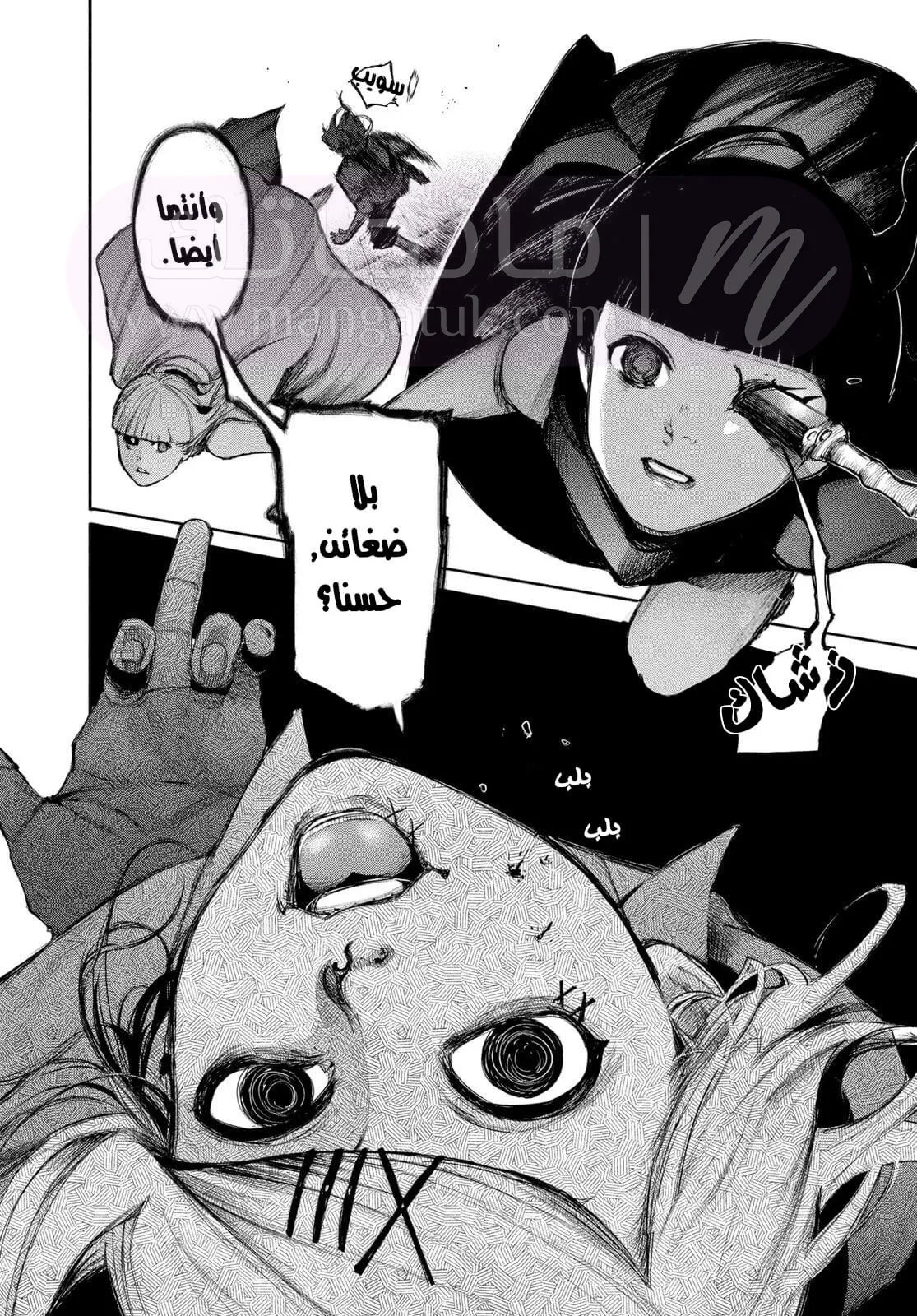 الصفحة 17