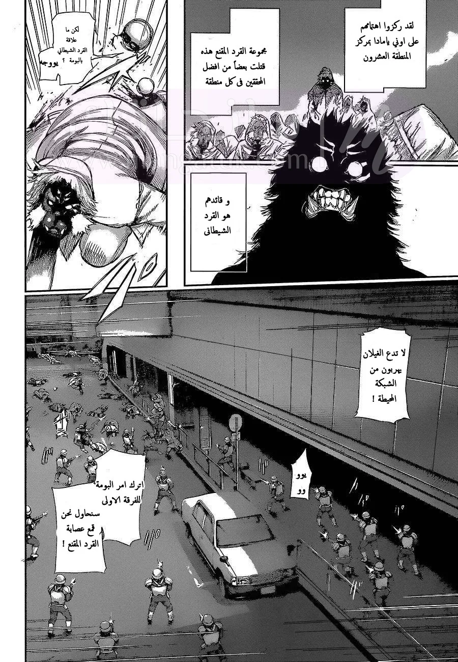 الصفحة 3