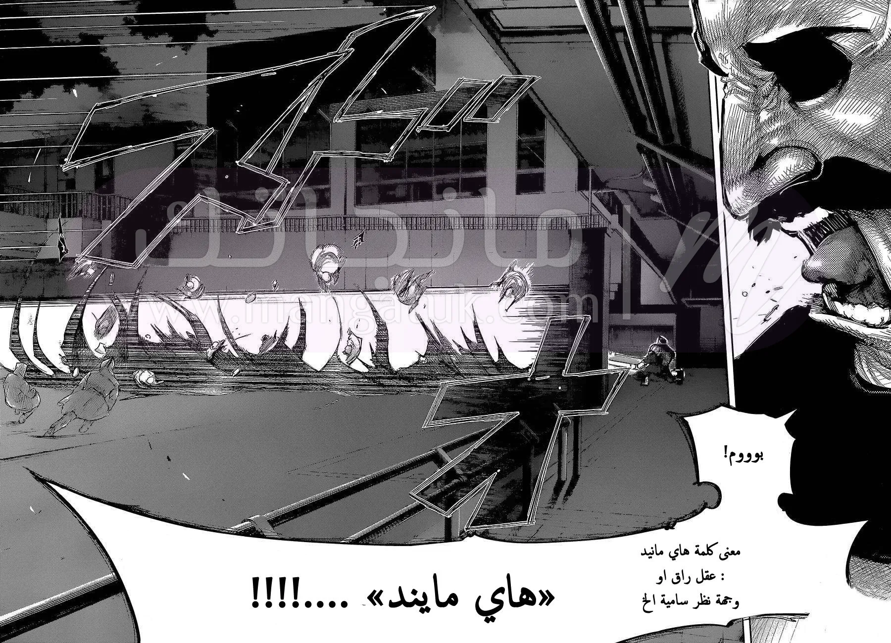 الصفحة 5