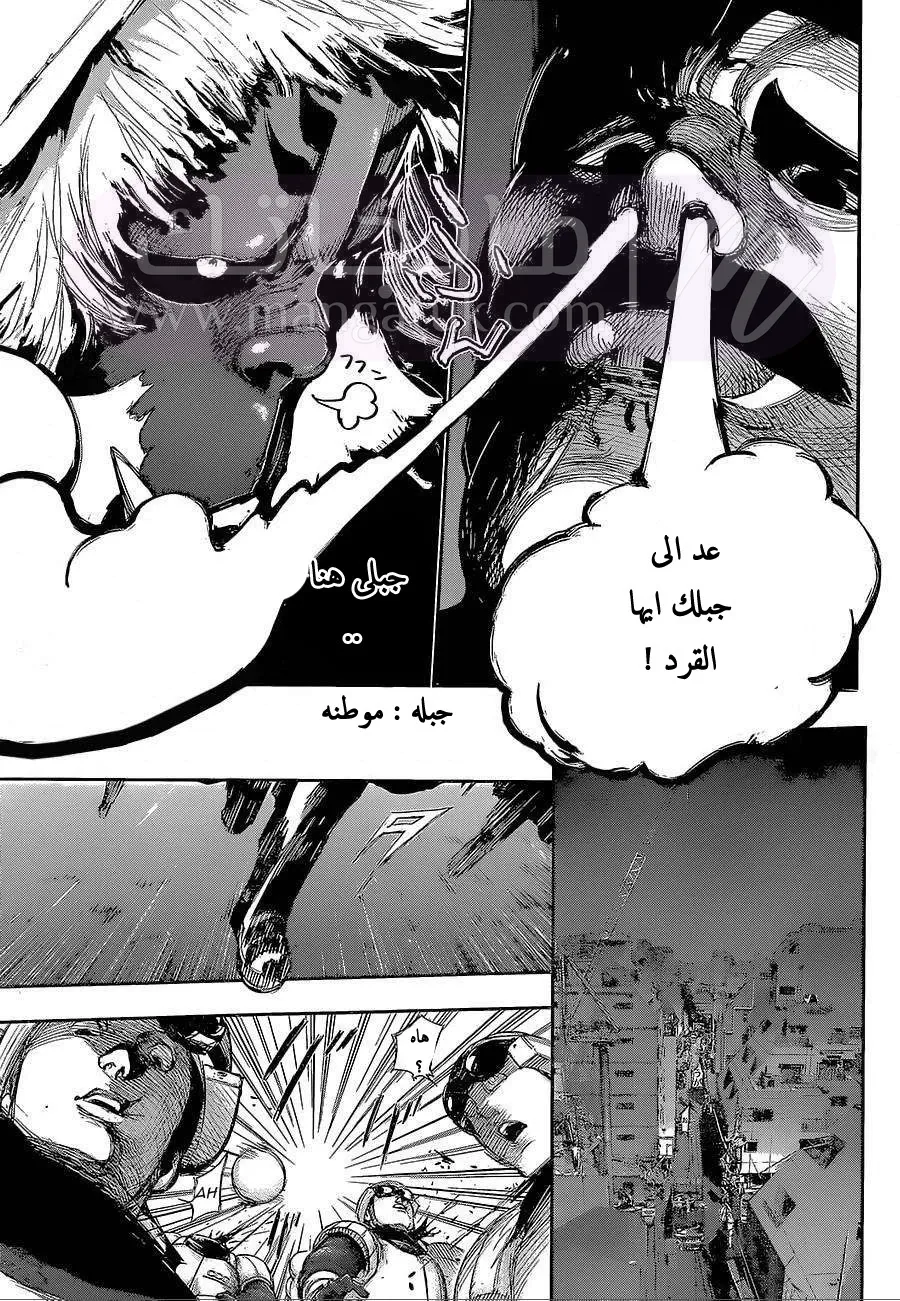 الصفحة 7