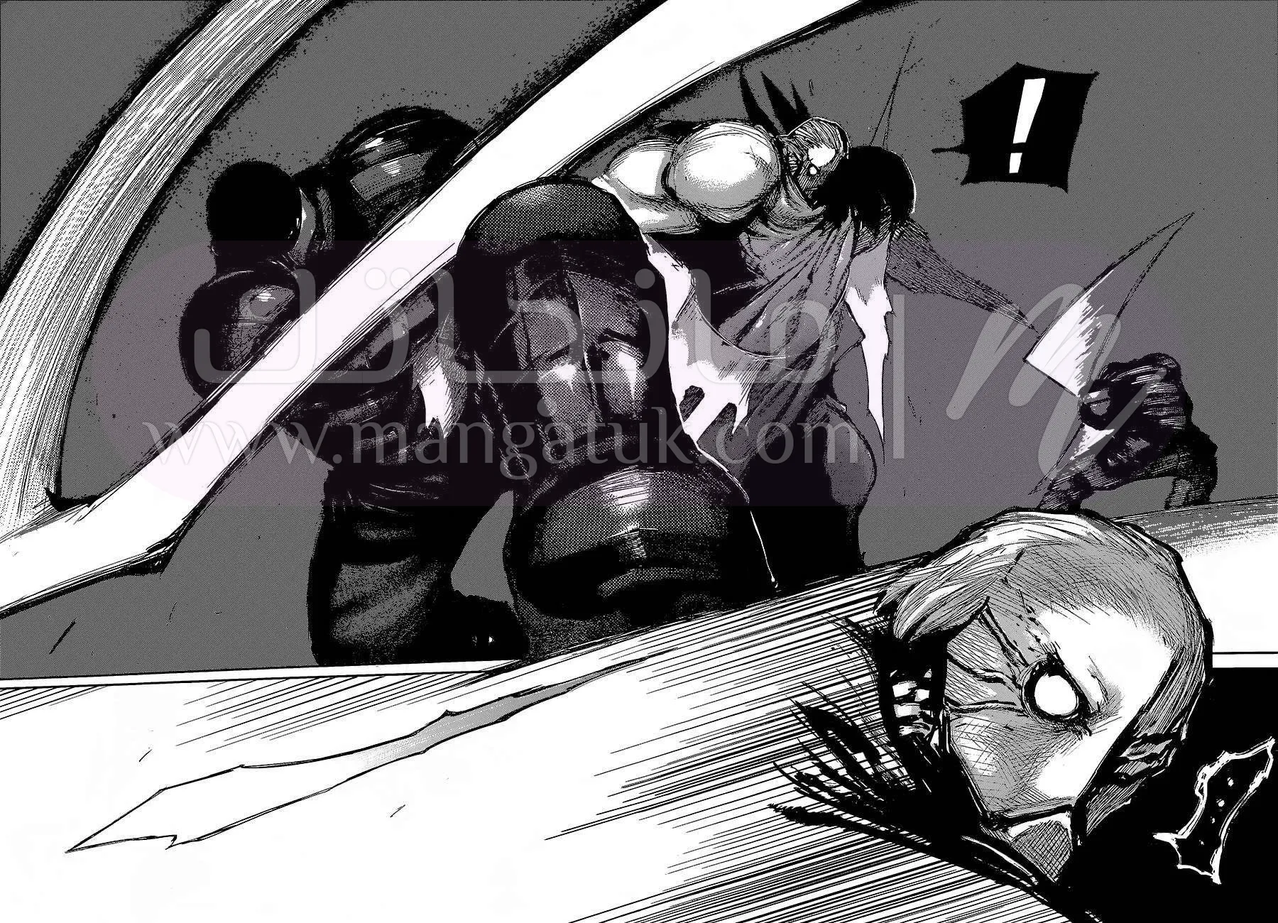 الصفحة 13