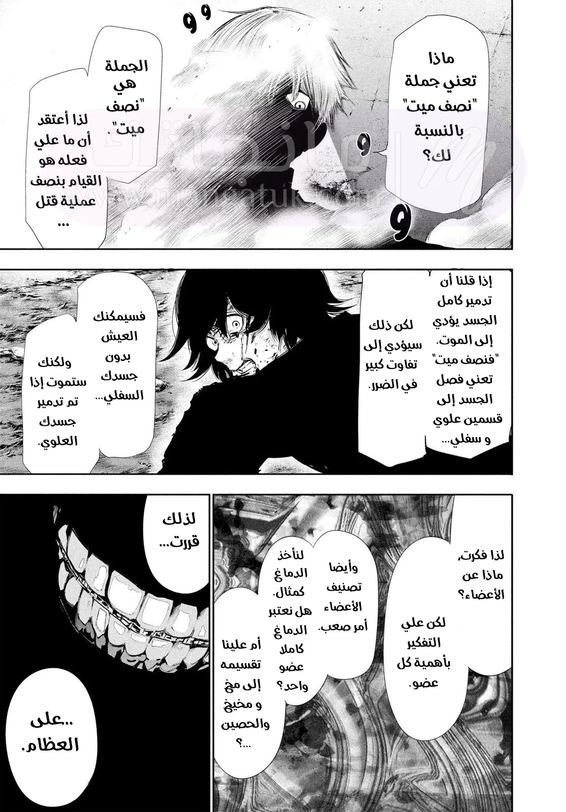 الصفحة 14