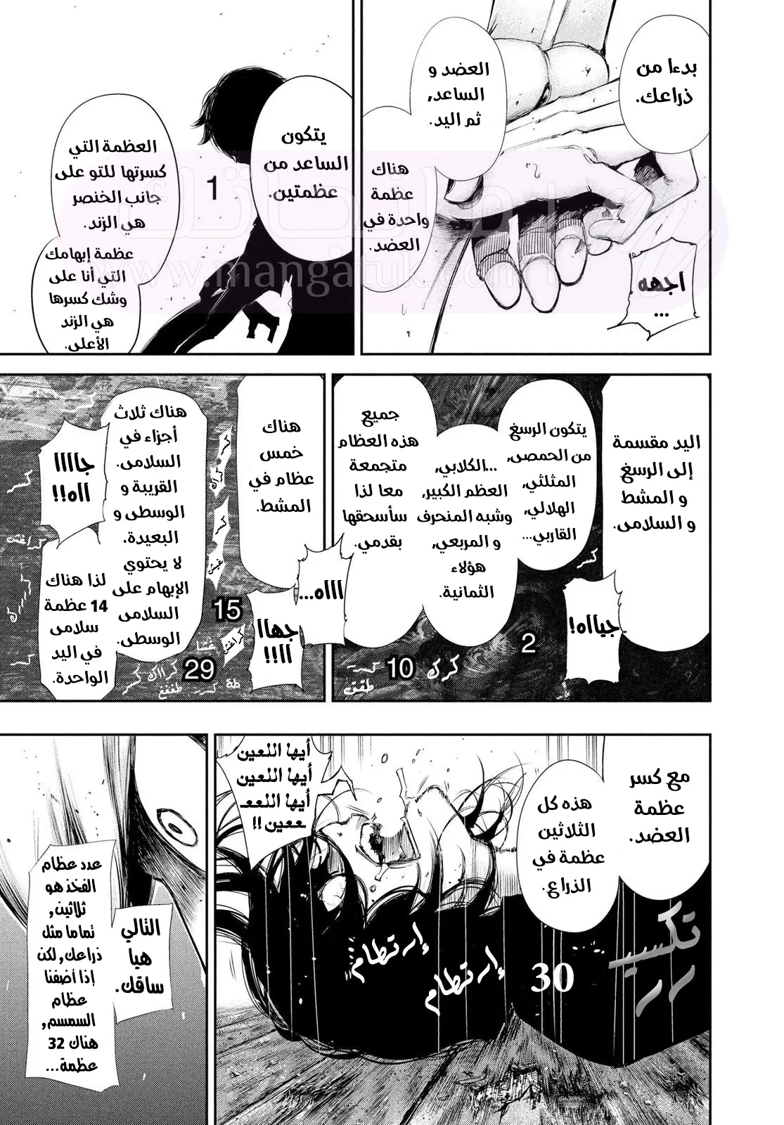 الصفحة 16