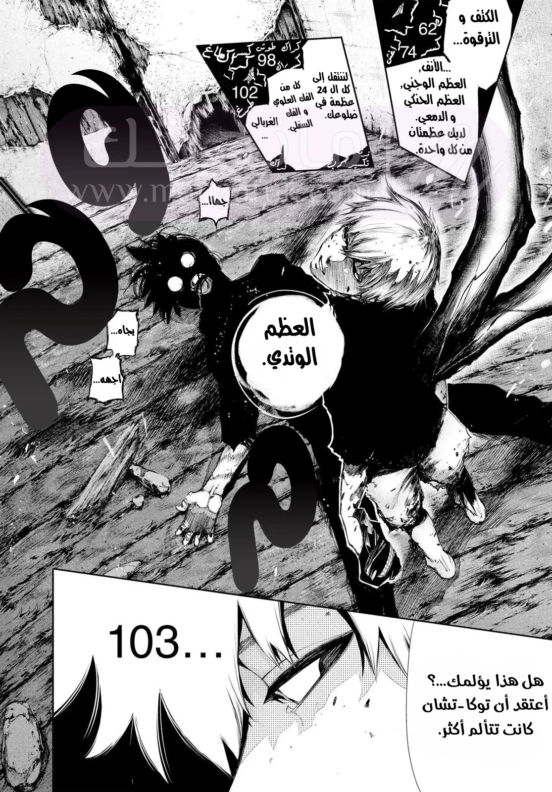 الصفحة 17