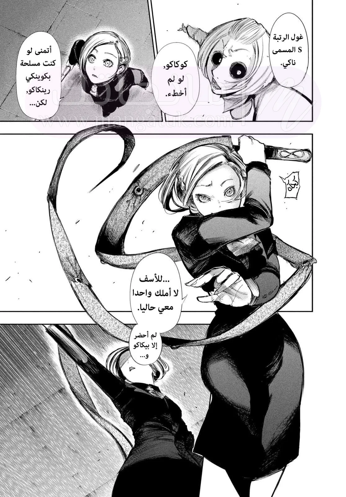 الصفحة 14