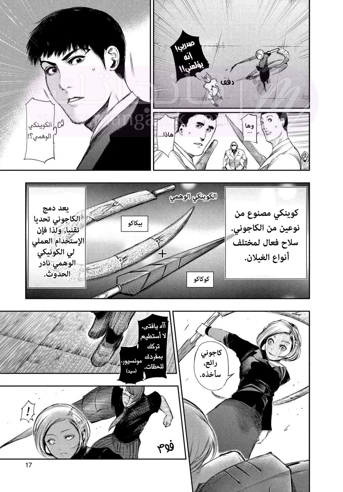 الصفحة 16