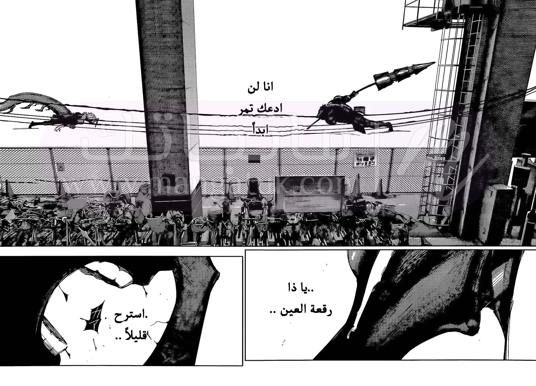 الصفحة 16