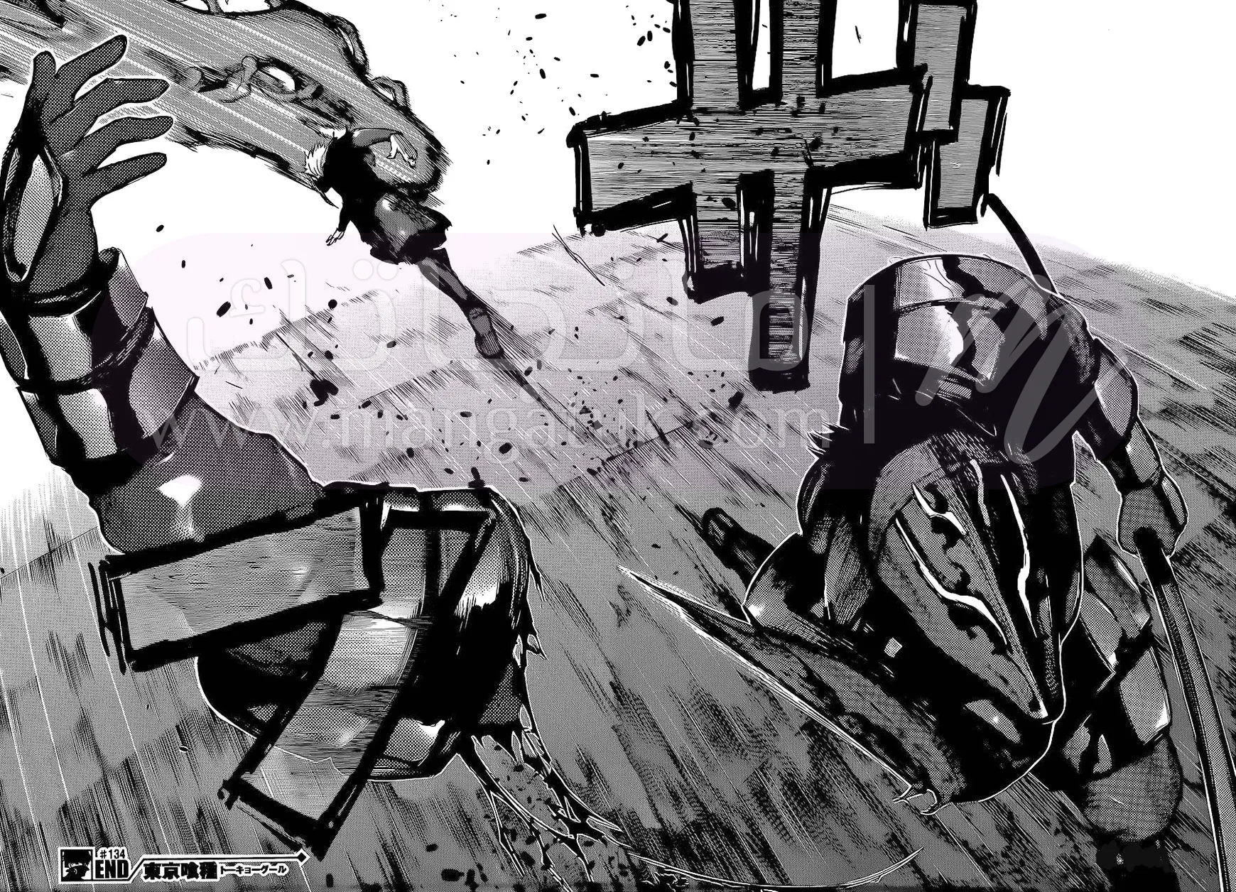 الصفحة 17