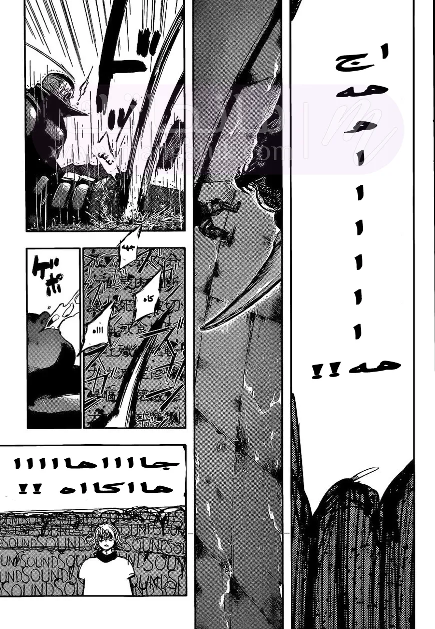 الصفحة 7