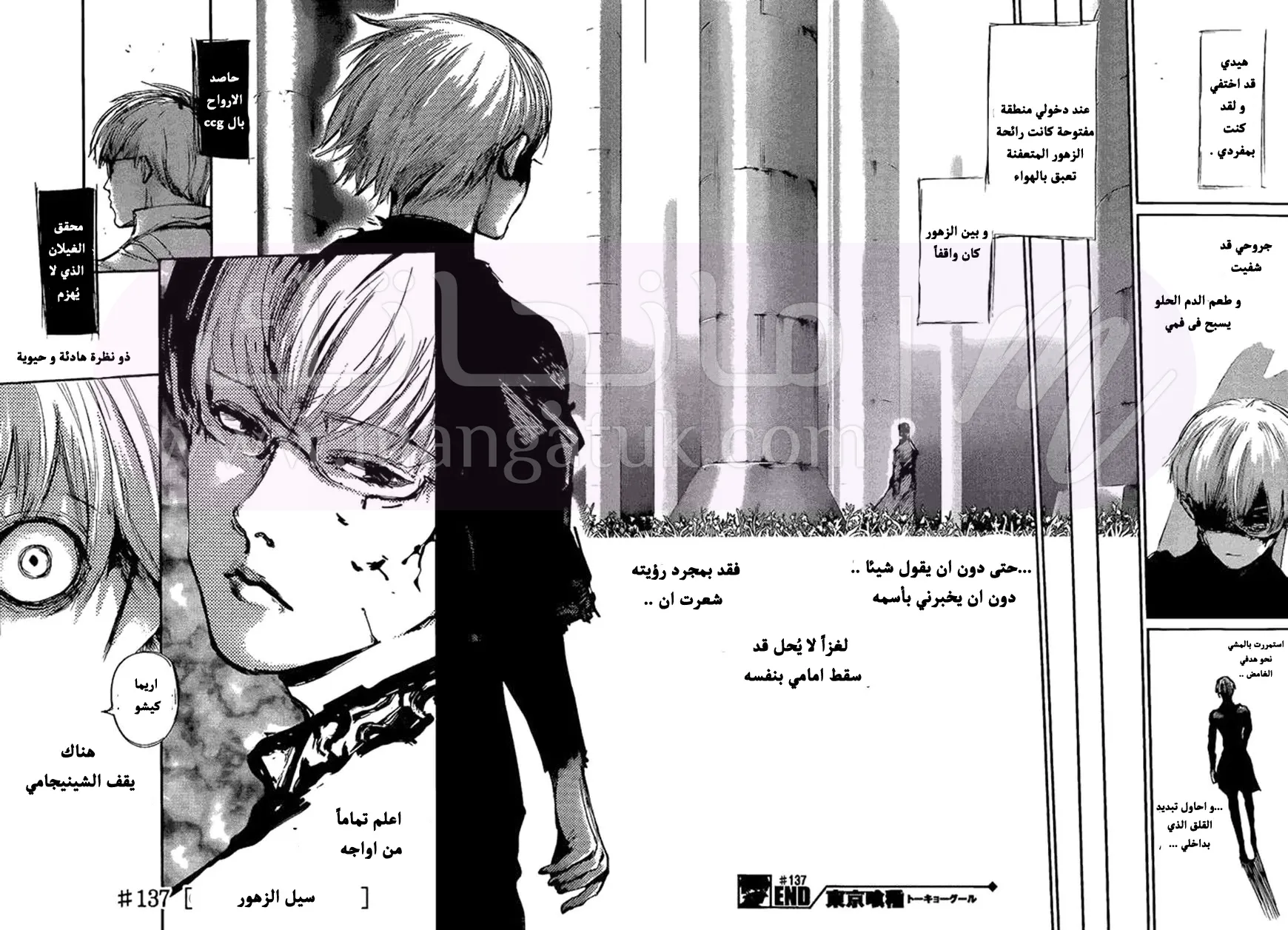الصفحة 17