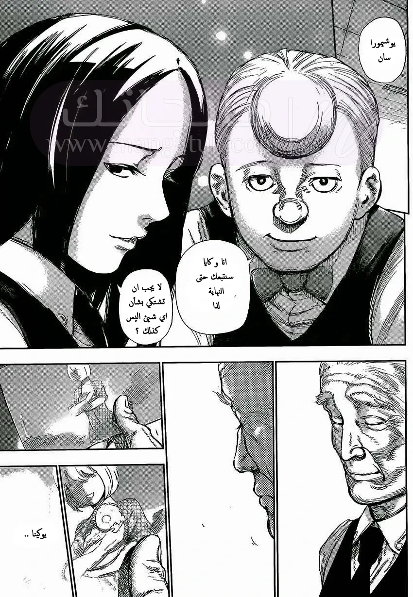 الصفحة 17