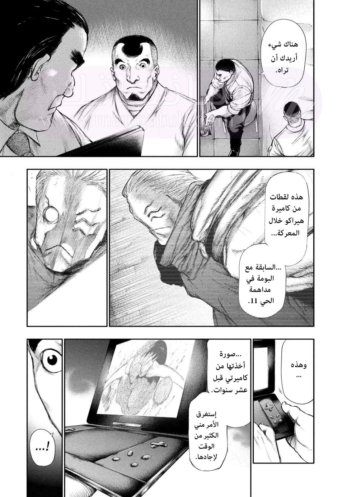 الصفحة 13
