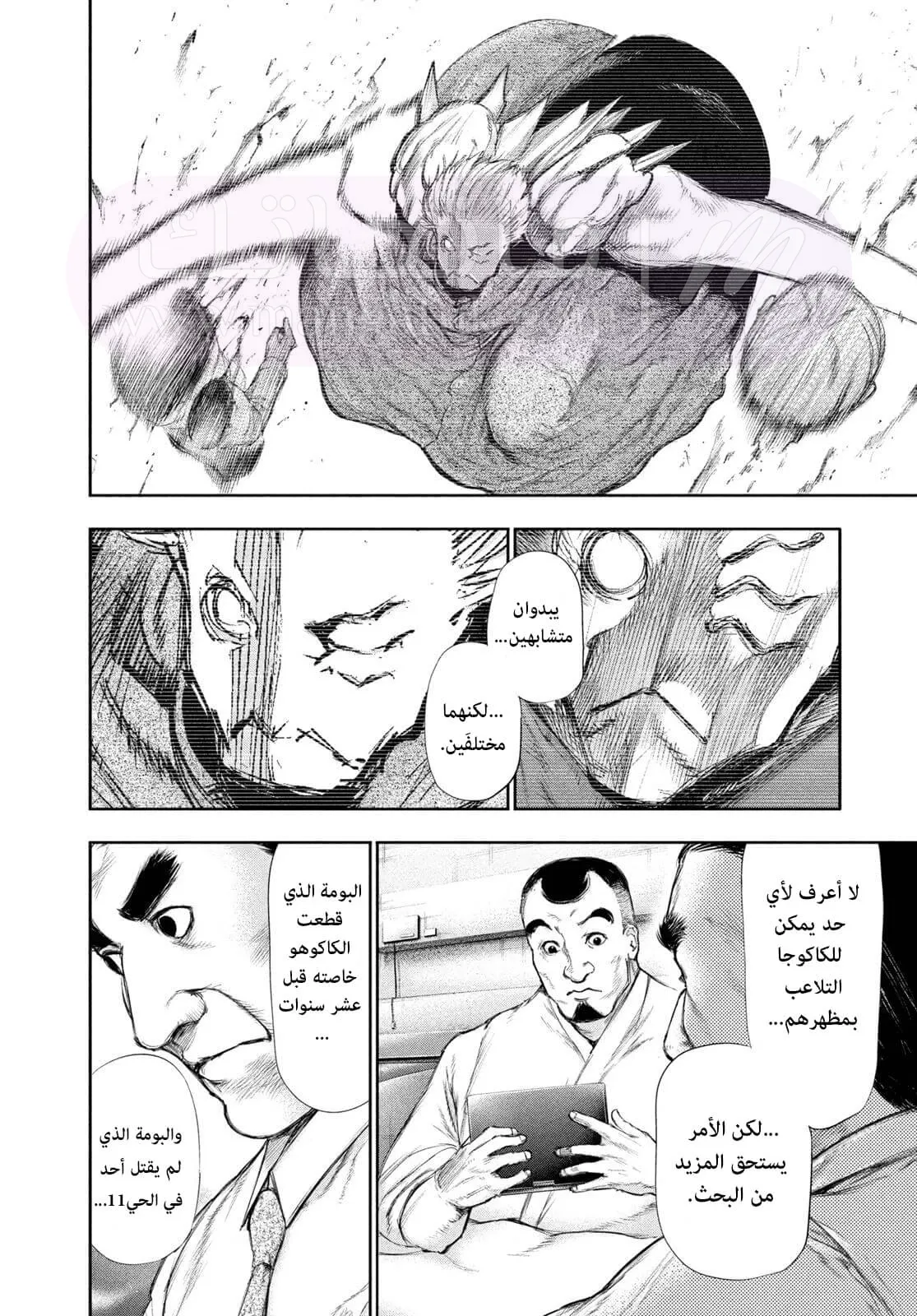 الصفحة 14
