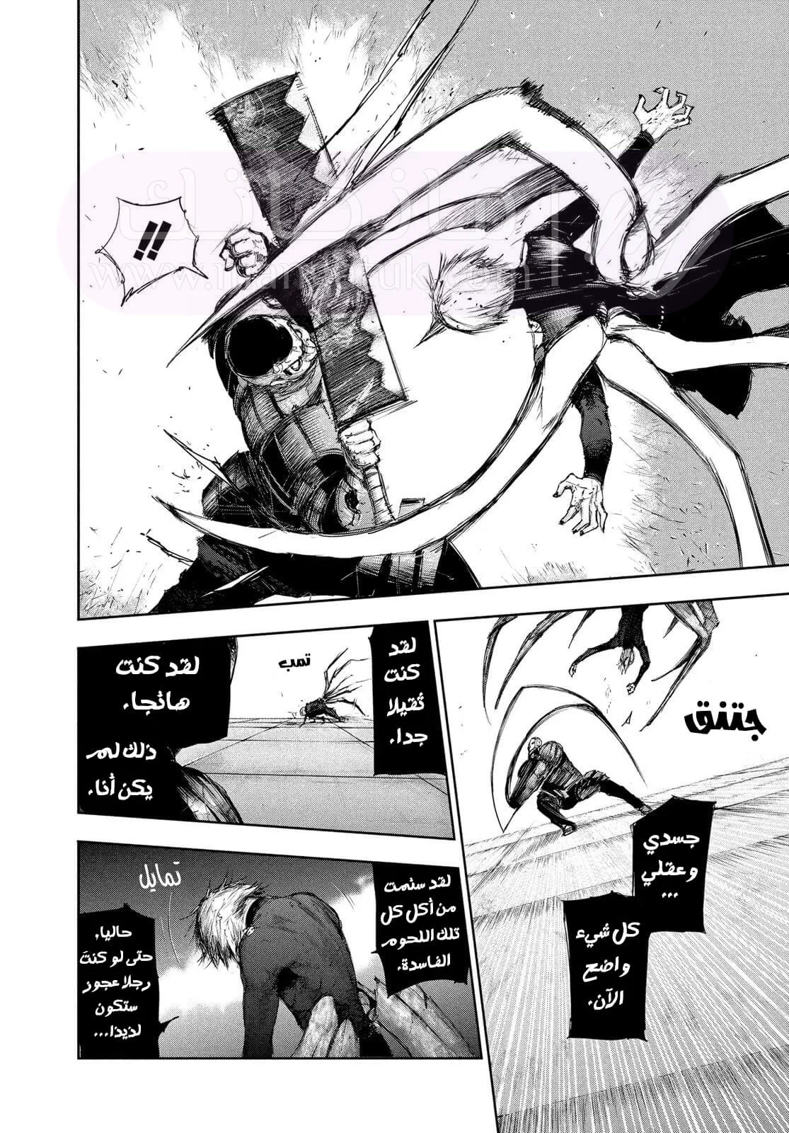 الصفحة 4