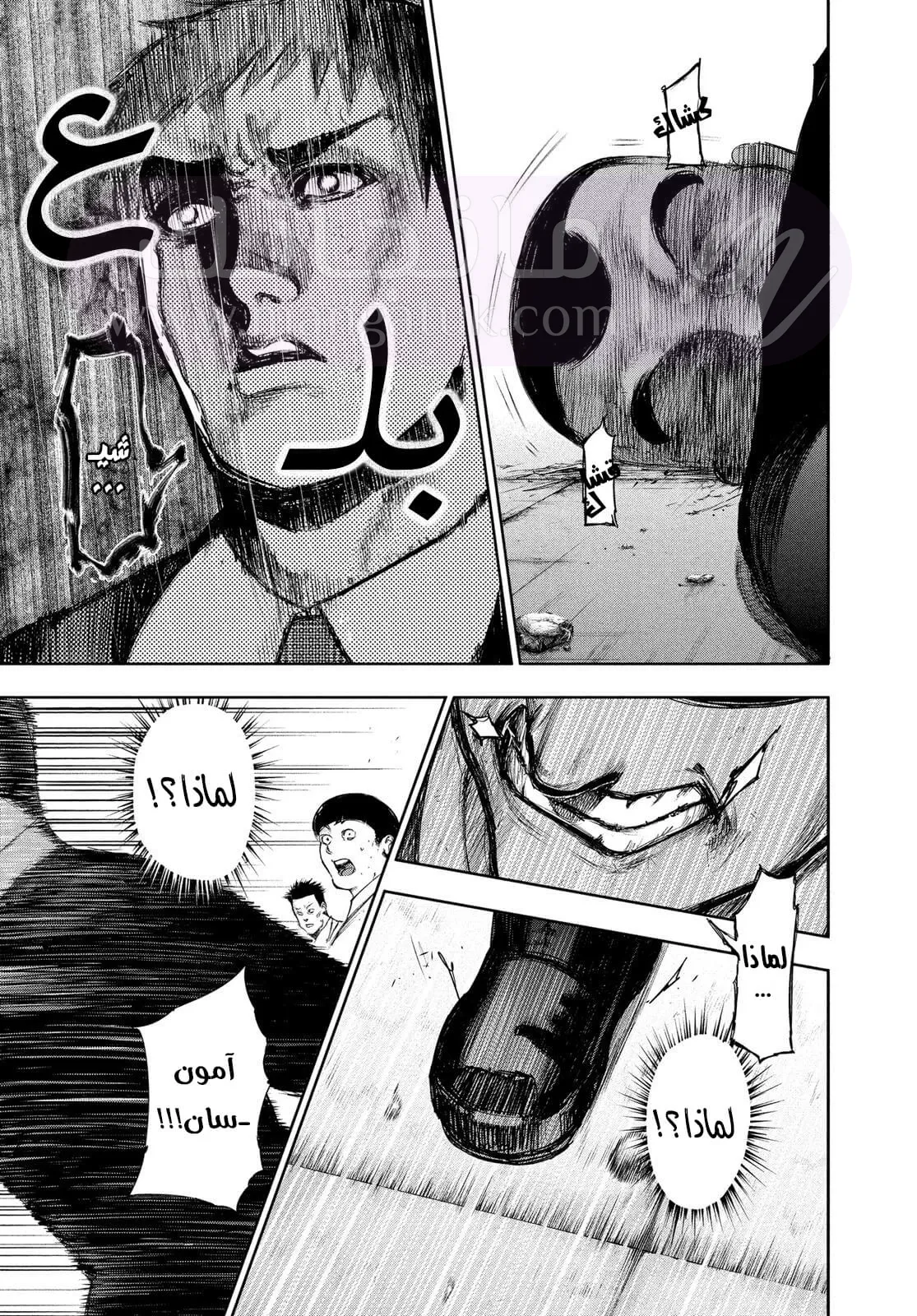 الصفحة 17