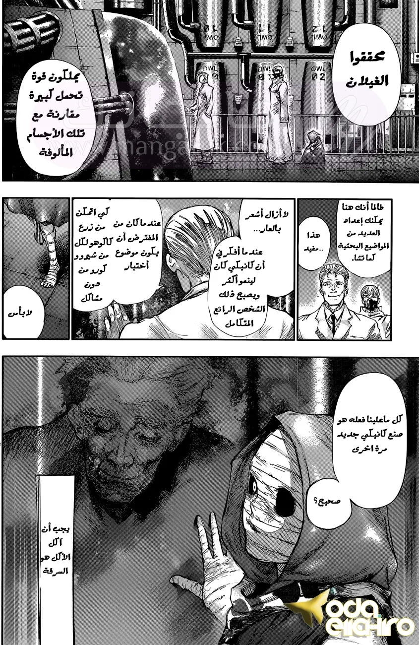 الصفحة 11
