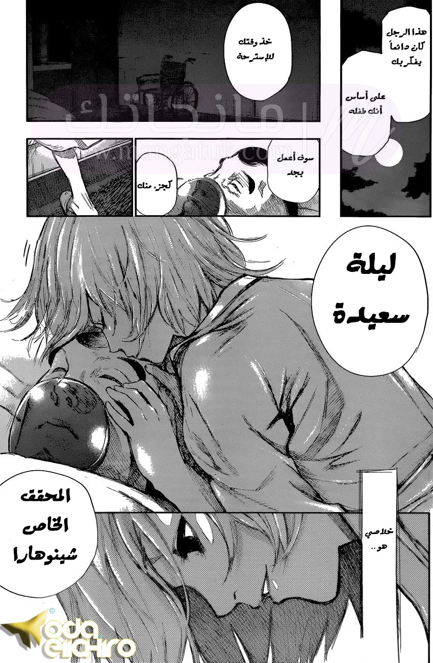 الصفحة 14