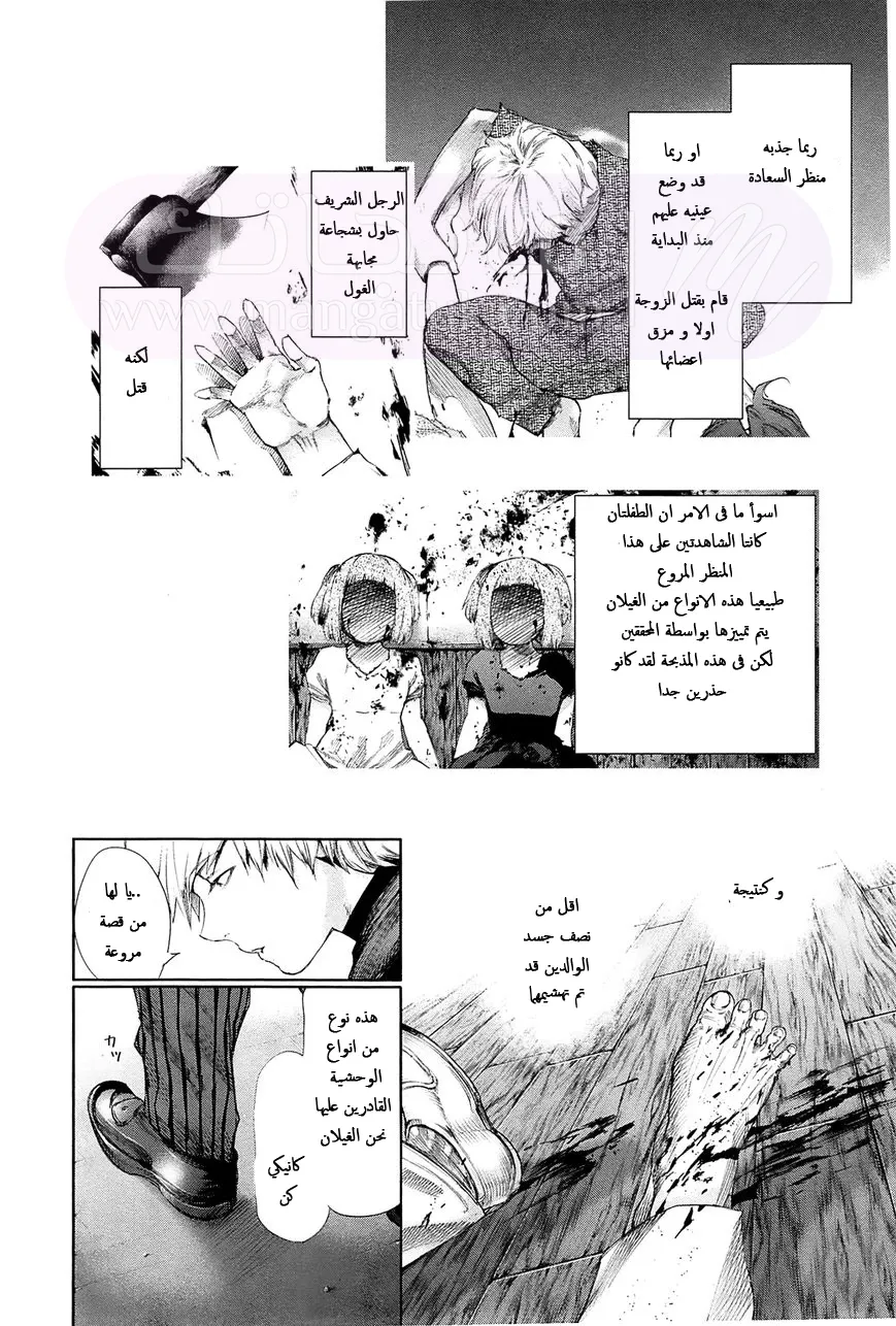 الصفحة 12